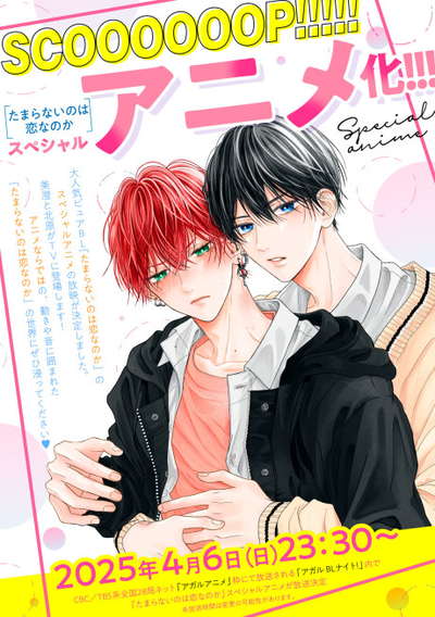 참을 수 없는 것은 사랑인가